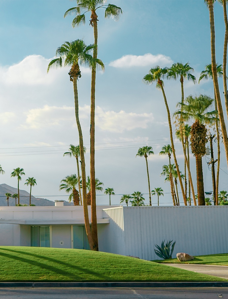 calpalms